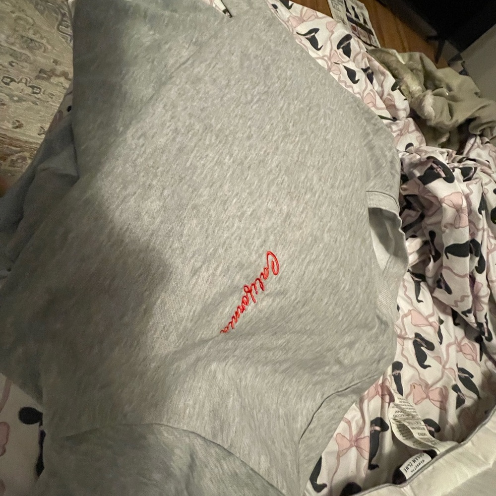 Gray Sweatshirt with Red Embroidery